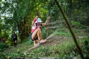 BIB: 
                            <button type="button" onclick="openModal(19429043)" class="btn btn-primary btn-sm float-right btn-popup" data-toggle="modal" data-target=".modal-high-quality">
                        <i class="fas fa-shopping-cart"></i> Add to Cart
                    </button>
                                            <button type="button" onclick="isThisMe(19429043, true)" class="btn btn-success btn-sm float-right btn-popup btn-isme hidden" data-toggle="tooltip" data-placement="bottom" title="นี่คือรูปของคุณใช่ไหม คลิกที่นี่เพื่อเอาเข้าอัลบั้ม">
                        <i class="fas fa-plus"></i> Add to album
                    </button>
                    <button type="button" onclick="isThisMe(19429043, false)" class="btn btn-warning btn-sm float-right btn-popup btn-isnotme hidden">
                        <i class="fas fa-ban"></i> Remove from album
                    </button>